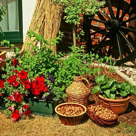 Hotel Garni Nussbaumhof Uckeritz Dış mekan fotoğraf